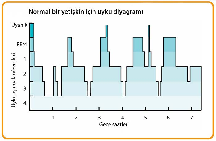 uyku_diyagramı